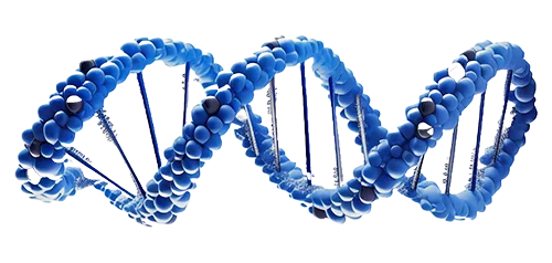 DNA graphic representing BioWell Pharmaceuticals science-backed formulations